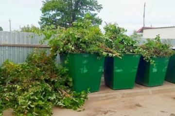 С 1 сентября 2025 года в России вступили в силу новые правила обращения с твёрдыми коммунальными отходами (ТКО), утверждённые Постановлением Правительства РФ от 7 марта 2025 года №293.