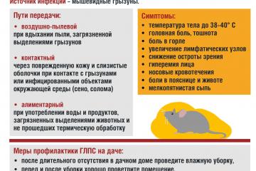 ВНИМАНИЕ!!! Геморрагическая лихорадка с почечным синдромом.